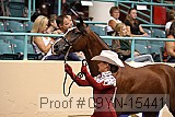 09yn-15441 thumbnail