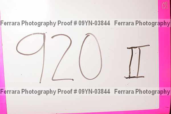 Proof Number 09yn-03844