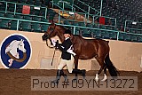 09yn-13272 thumbnail