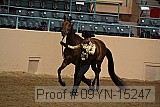 09yn-15247 thumbnail