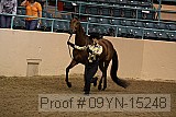 09yn-15248 thumbnail