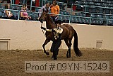 09yn-15249 thumbnail