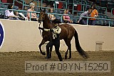 09yn-15250 thumbnail
