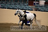 09yn-15252 thumbnail