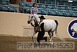09yn-15253 thumbnail