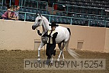 09yn-15254 thumbnail