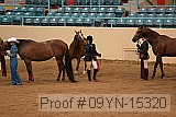 09yn-15320 thumbnail