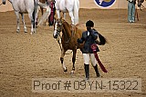 09yn-15322 thumbnail