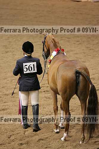 Proof Number 09yn-15343