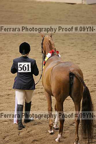 Proof Number 09yn-15344