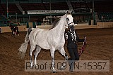 09yn-15357 thumbnail
