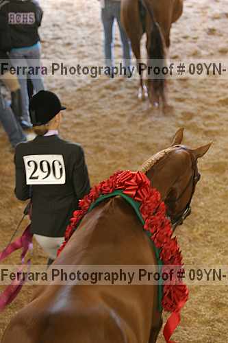 Proof Number 09yn-15385