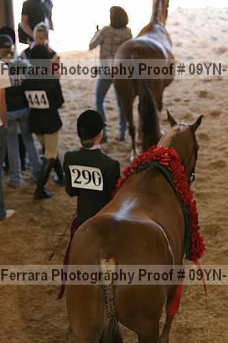 Proof Number 09yn-15386