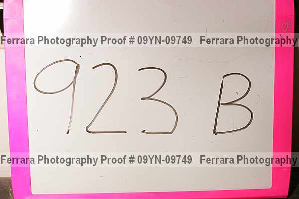 Proof Number 09yn-09749