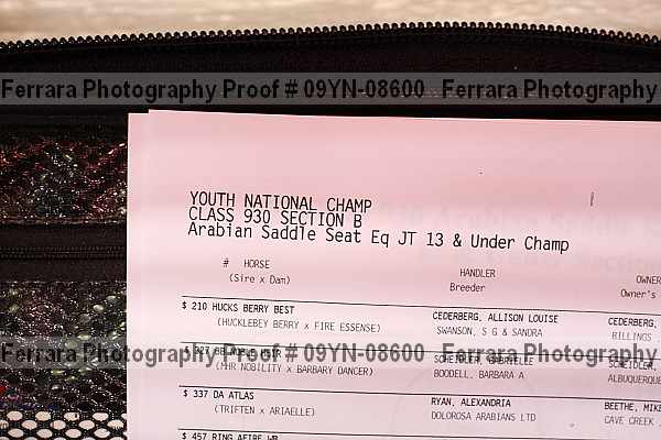 Proof Number 09yn-08600
