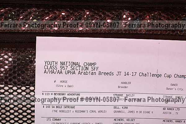 Proof Number 09yn-05807