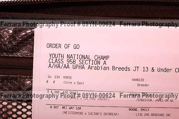 Proof Number 09yn-00624