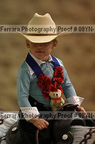 Proof Number 09yn-20018