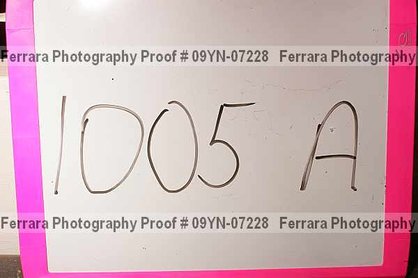 Proof Number 09yn-07228