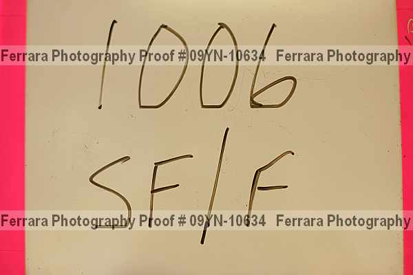 Proof Number 09yn-10634
