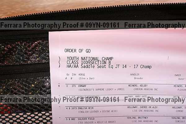 Proof Number 09yn-09161