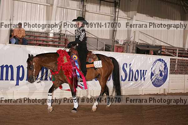 Proof Number 09yn-17070
