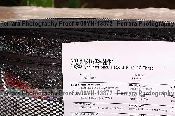 Proof Number 09yn-13872