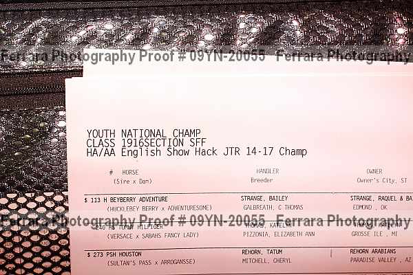 Proof Number 09yn-20055