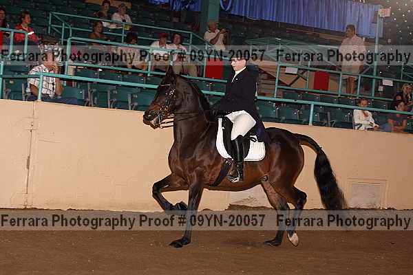 Proof Number 09yn-20057