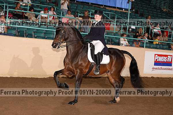Proof Number 09yn-20060