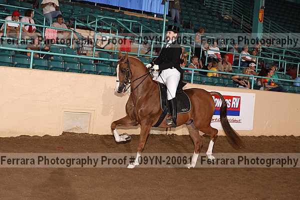 Proof Number 09yn-20061