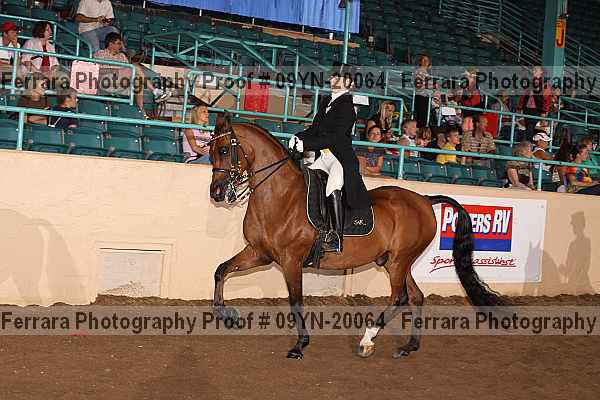Proof Number 09yn-20064