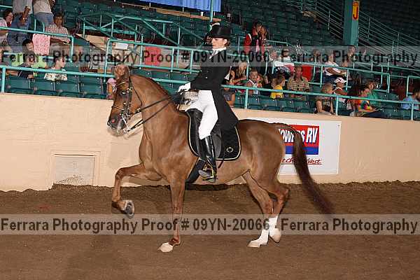 Proof Number 09yn-20066