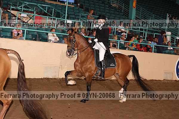 Proof Number 09yn-20068