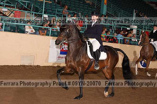 Proof Number 09yn-20070