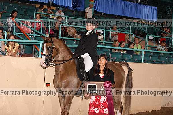 Proof Number 09yn-20072