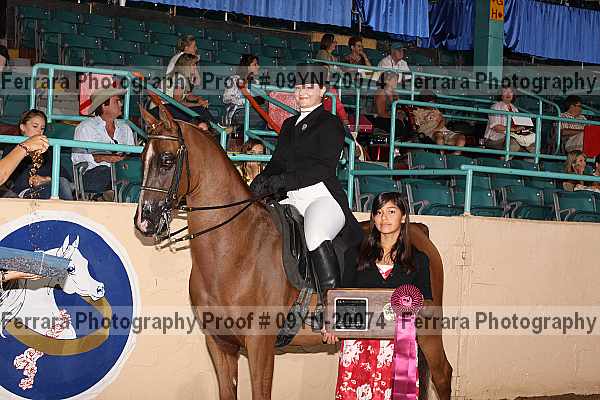 Proof Number 09yn-20074