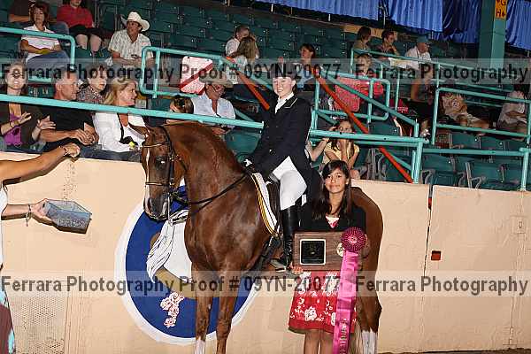 Proof Number 09yn-20077