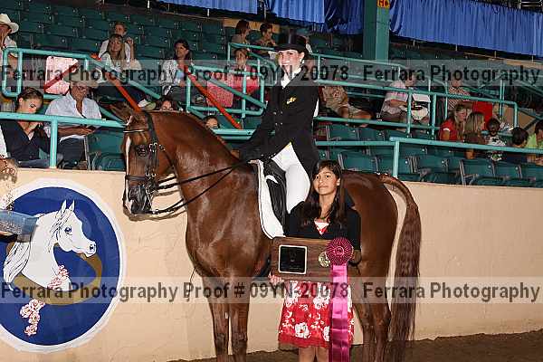 Proof Number 09yn-20078