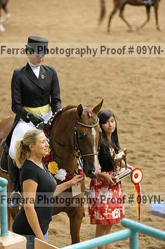 Proof Number 09yn-20085