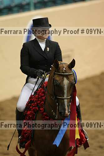 Proof Number 09yn-20088
