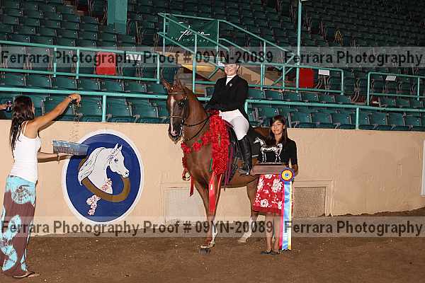 Proof Number 09yn-20089
