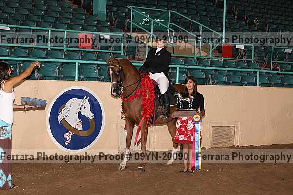 Proof Number 09yn-20090