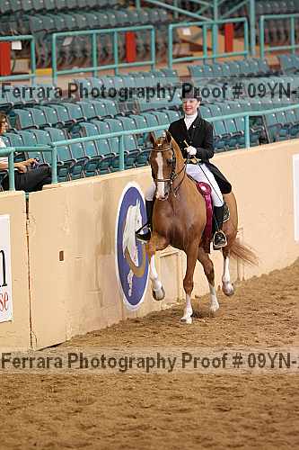Proof Number 09yn-20091