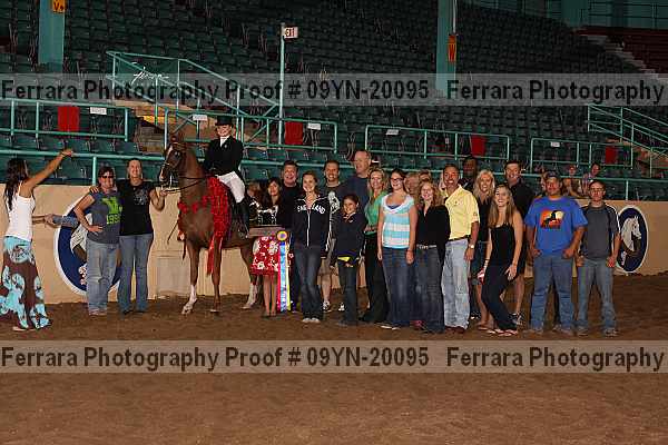 Proof Number 09yn-20095