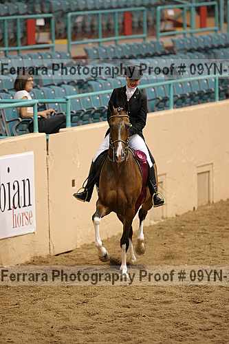 Proof Number 09yn-20099