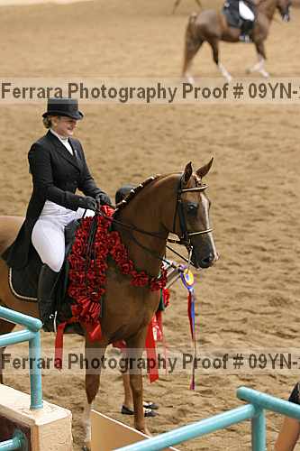 Proof Number 09yn-20104