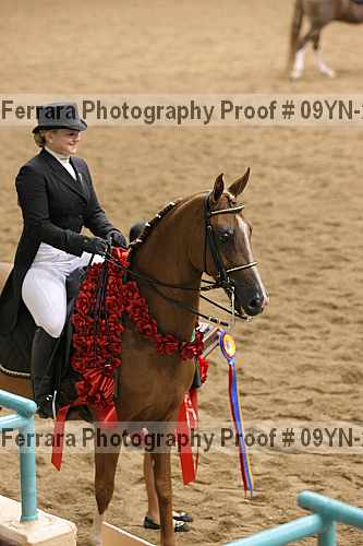 Proof Number 09yn-20105