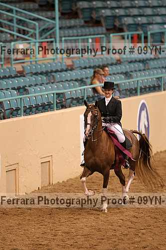 Proof Number 09yn-20110