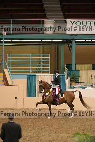 Proof Number 09yn-20114